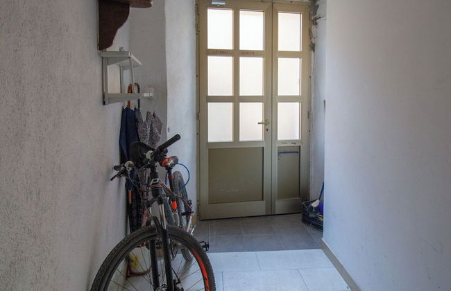 Viola - Foto 36