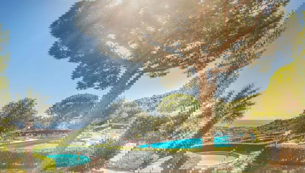Image principale