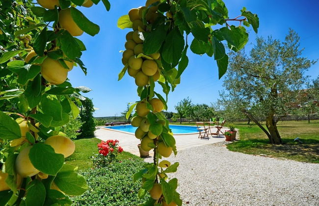 Villa Benka With View - Foto 38