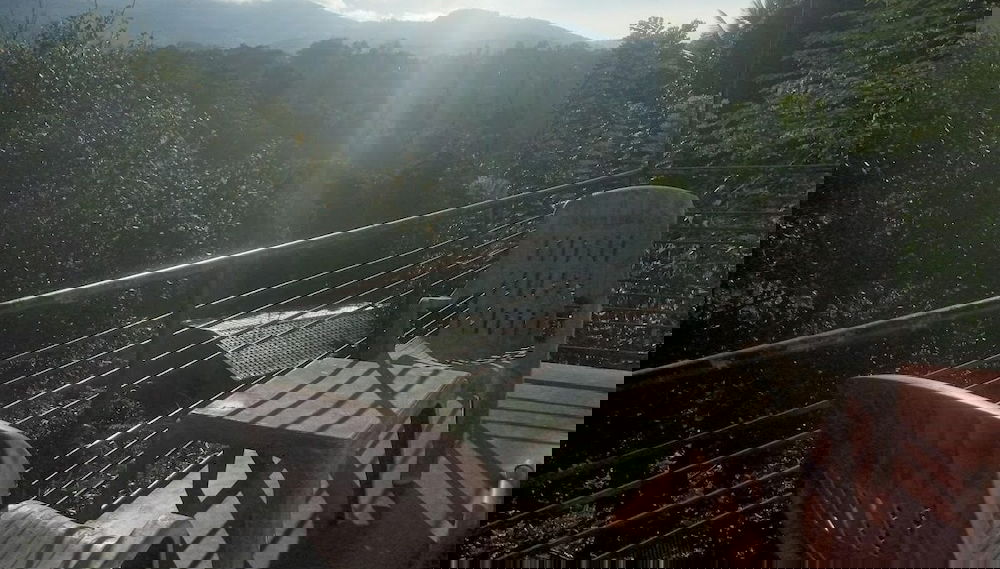 Imagem principal