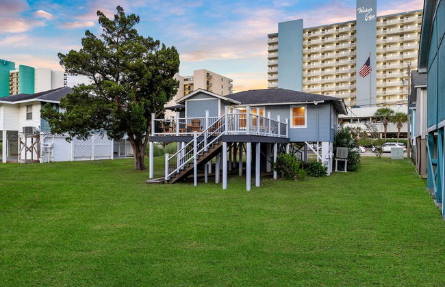 Clodhopper in Garden City - Photo 4