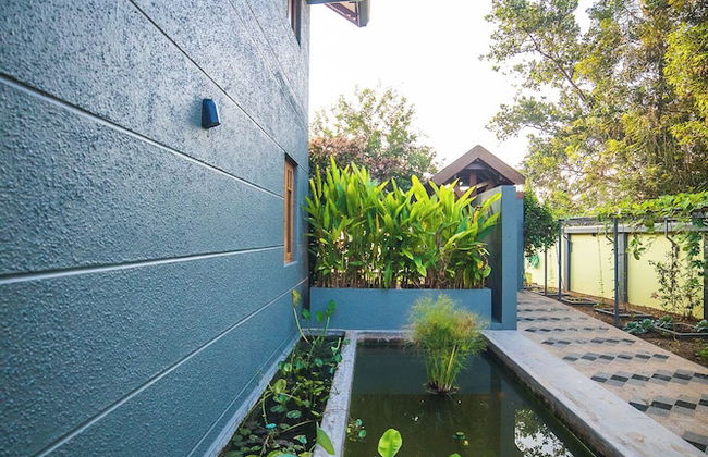 Hibiscus Earth - CGH Earth - Foto 15