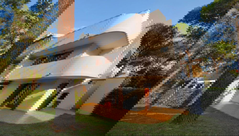 Imagem principal