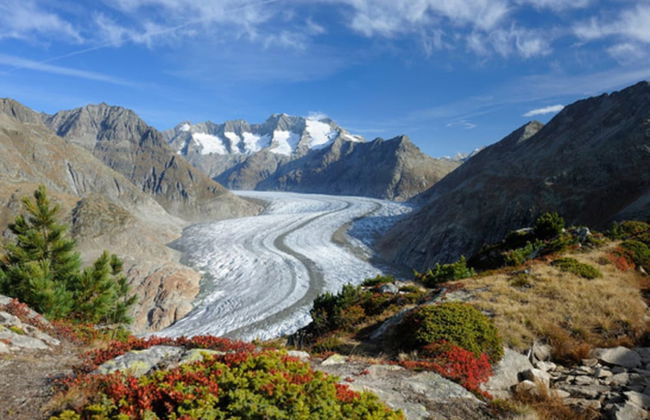 Vieux Valais Beevalais 1 - Foto 18