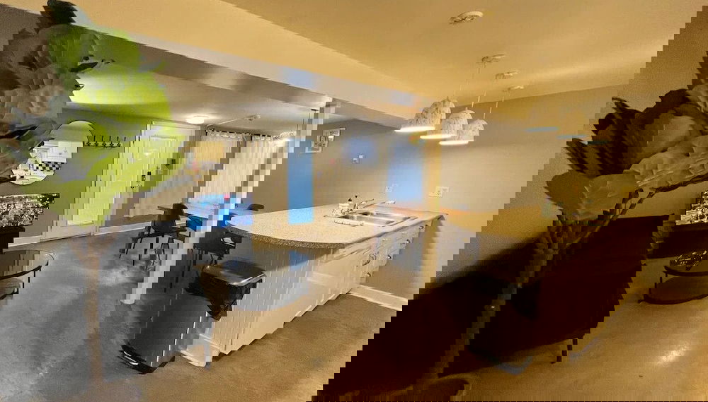 Imagem principal