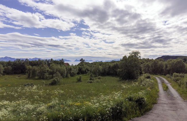 Bestefarhaugen - the Cozy House on the Hill,& Dome - Foto 18