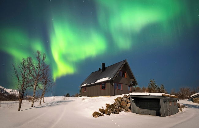 Bestefarhaugen - the Cozy House on the Hill,& Dome - Foto 1