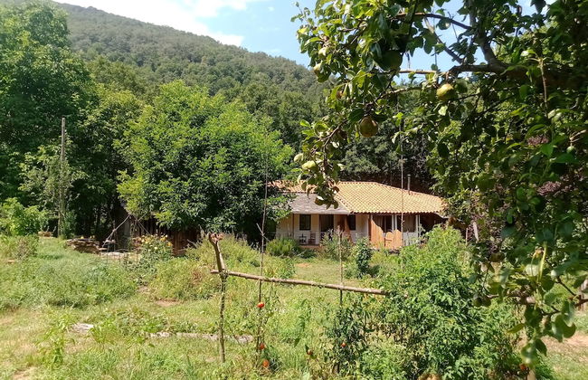 Charming Cottage in the Heart of the Ribera Sacra - Foto 1