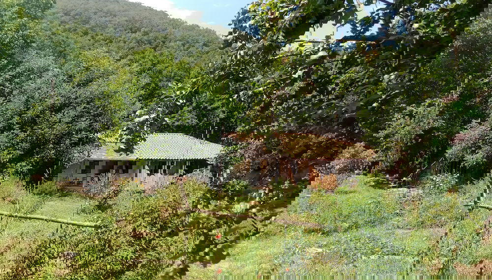 Image principale