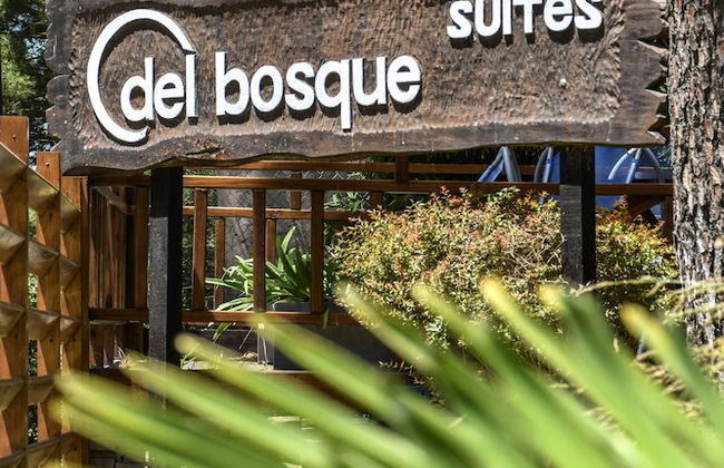 suites del bosque - Foto 51