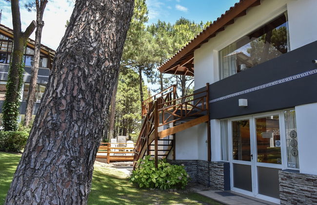suites del bosque - Foto 49