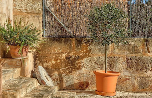 Finca Son Valls - Foto 32