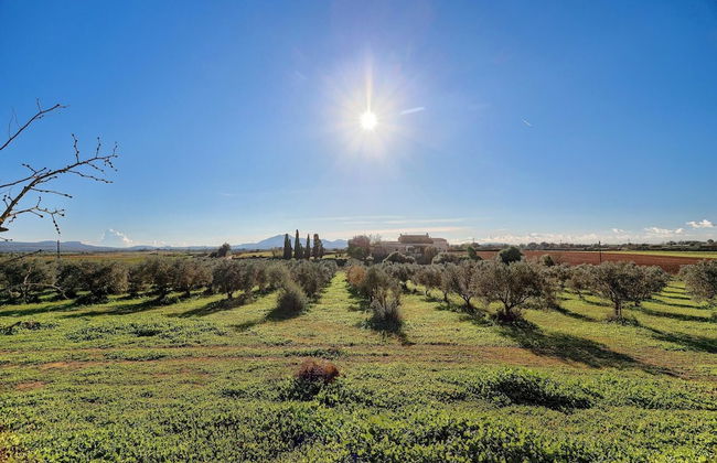 Finca Son Valls - Foto 36