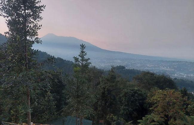 Villa Zoya Montana - Foto 35