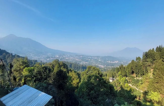 Villa Zoya Montana - Foto 37