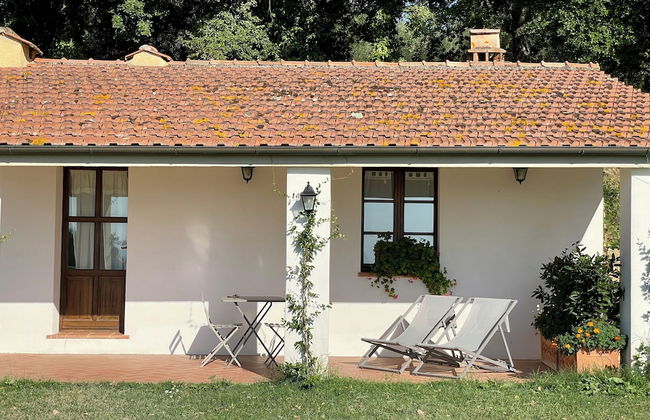 Podere Montale Il Borgo - Foto 6