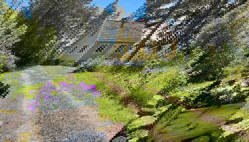 Primary image