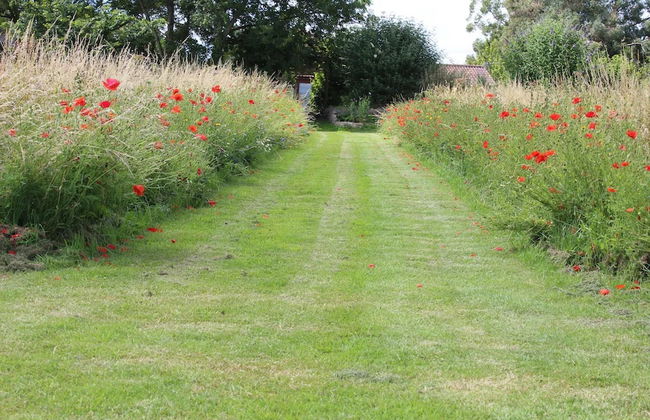 Peaceful and Stylish Cottage Near Taunton Somerset - Foto 10
