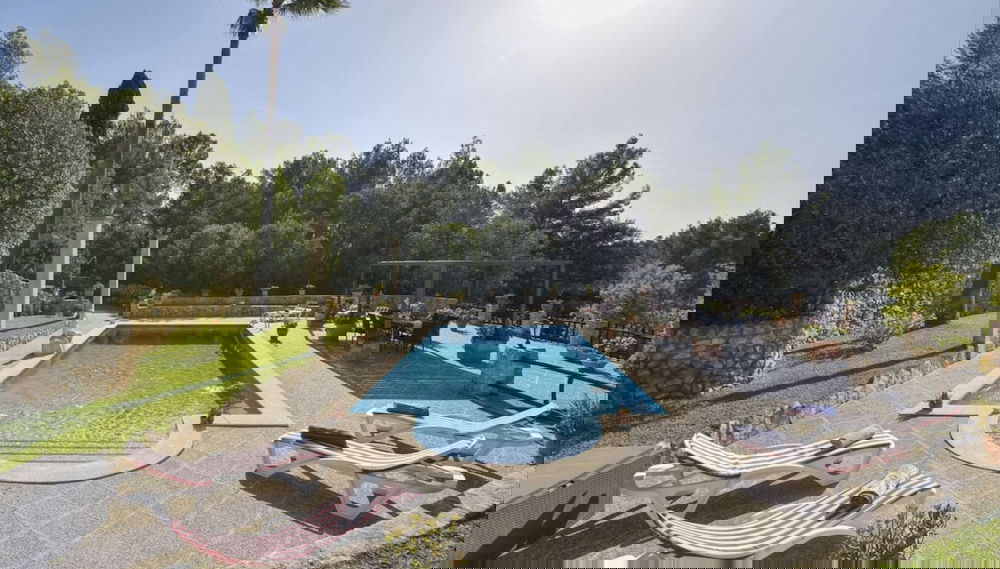 Primary image