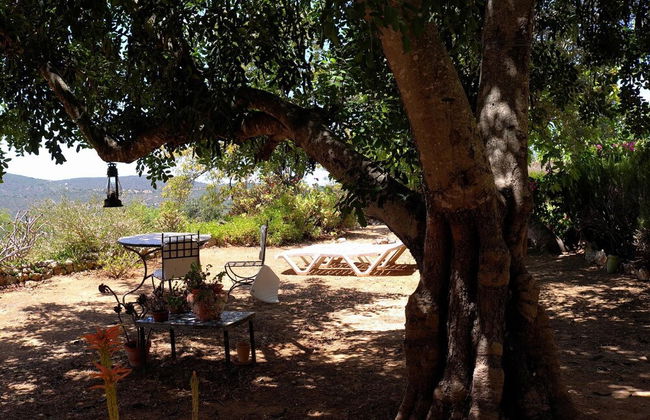 Quinta Amarela XL by Portucasa - Foto 23