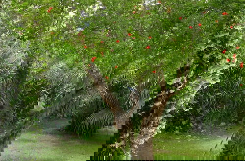 Foto 4 - Welcomely - Natural Garden