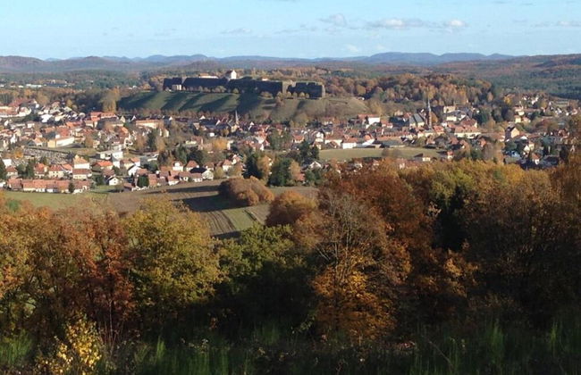 Spacious Stay in Lemberg - Foto 40
