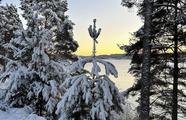 Flygeln lägenhetshotell - Foto 49