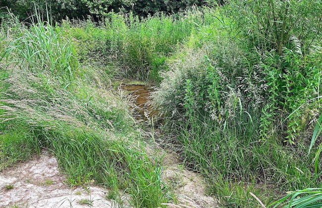 10 Person Holiday Home in Vinderup-by Traum - Foto 46