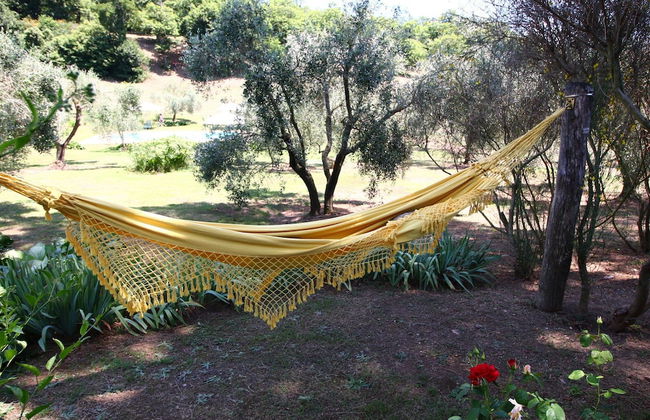 Villa Near Lake Bracciano With Pool - Foto 25