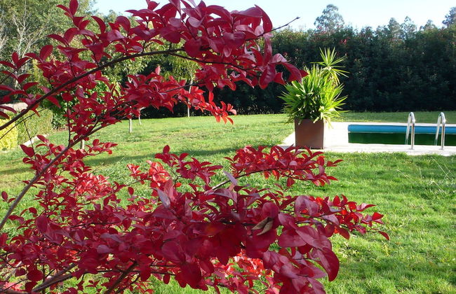 Cosy Holiday Home in Costoia With Private Pool and Garden - Foto 18