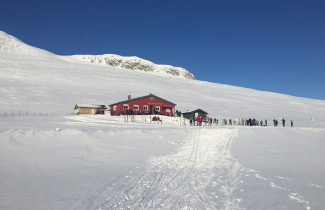 4 Person Holiday Home in Geilo-by Traum - Foto 10