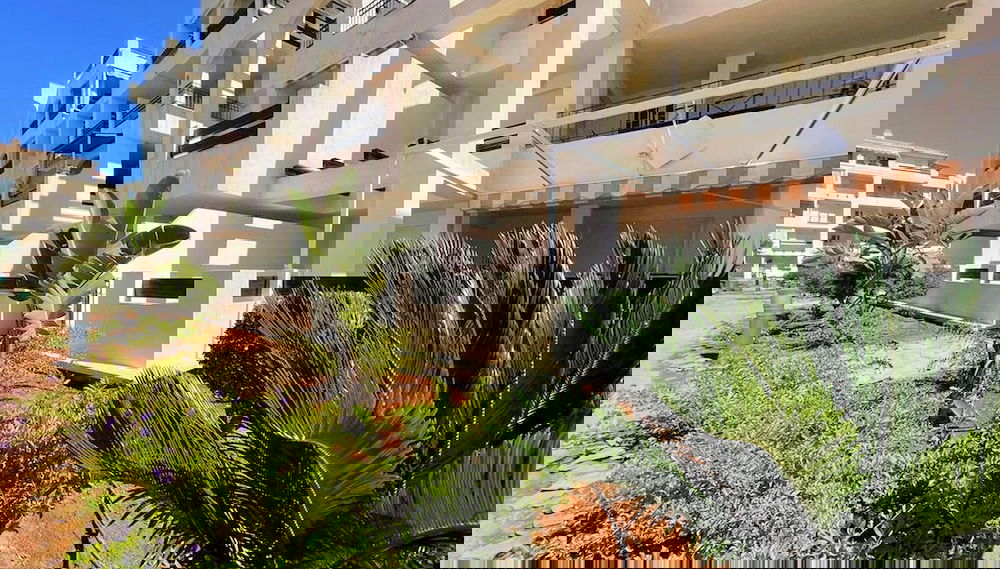 Image principale