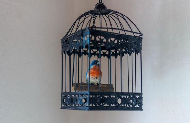Holiday Home in Marquise Near the Sea - Foto 27