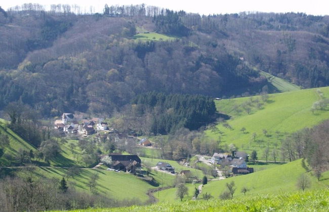 Am Reichenbach Modern Retreat - Photo 14