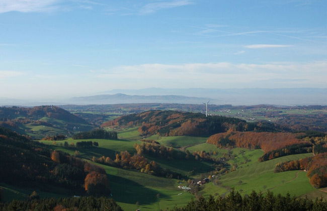 Am Reichenbach Modern Retreat - Photo 22
