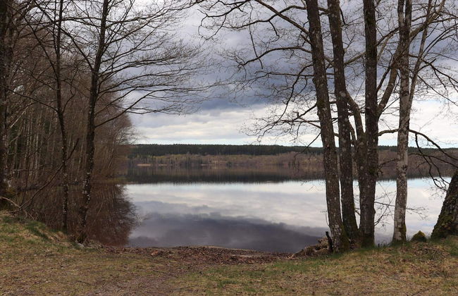 4 Person Holiday Home in Karl Gustav - Foto 13