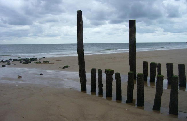 Holiday Home Zoutelande Near Beach - Foto 30