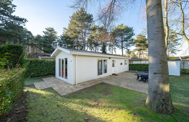 Well Furnished Chalet with Garden near Brunssummerheide - Foto 17