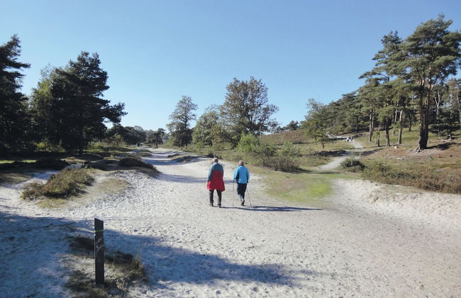Comfortable Chalet Near Brunssummerheide - Foto 24