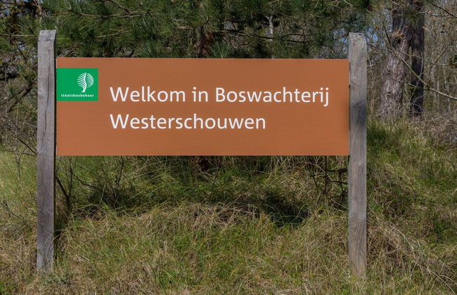 Holiday Home in Renesse Near the Beach - Foto 27