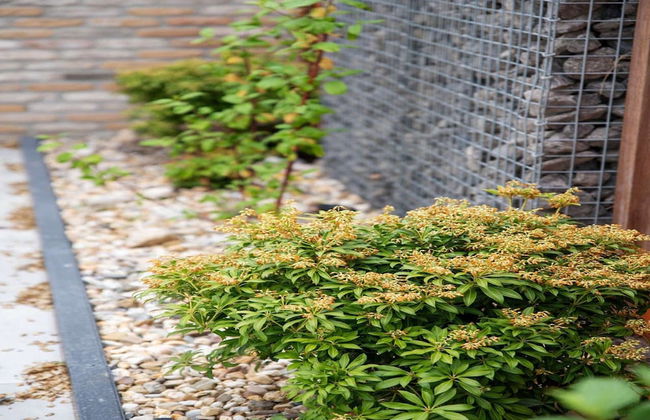 Luxury new Apartment on Ameland - Foto 27