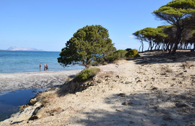 Casa Martina With Sea View In Tanaunella - Foto 12