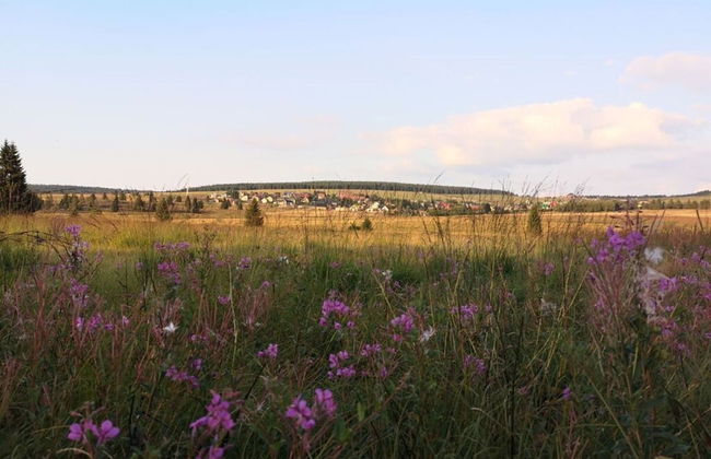 Holiday Apartment "pohlberg" - Foto 26