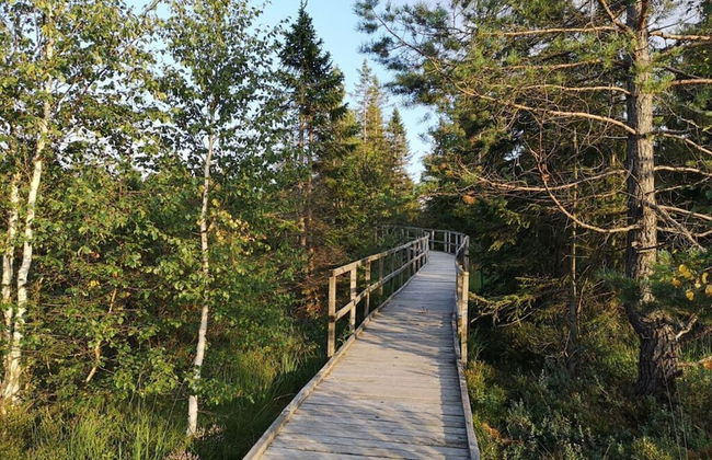 Holiday Apartment "pohlberg" - Foto 20