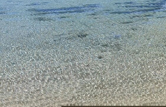 Virginia Bed and Boat - Foto 20
