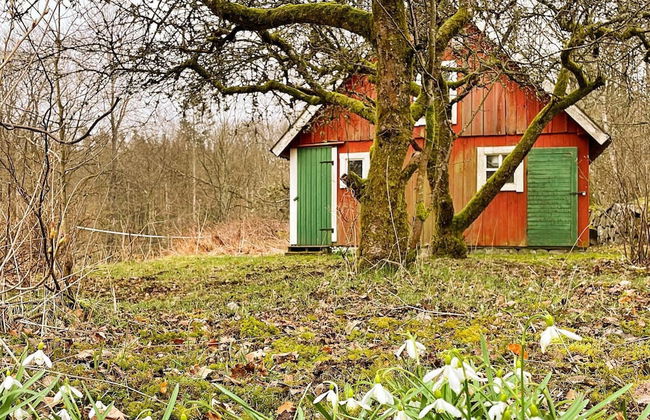 4 Person Holiday Home in Solvesborg-by Traum - Foto 33