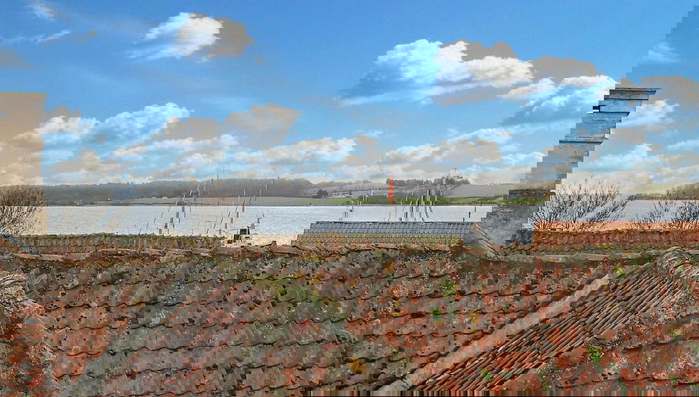 Imagem principal