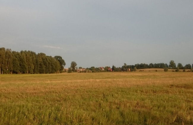 Holiday Home Landlust - Foto 23