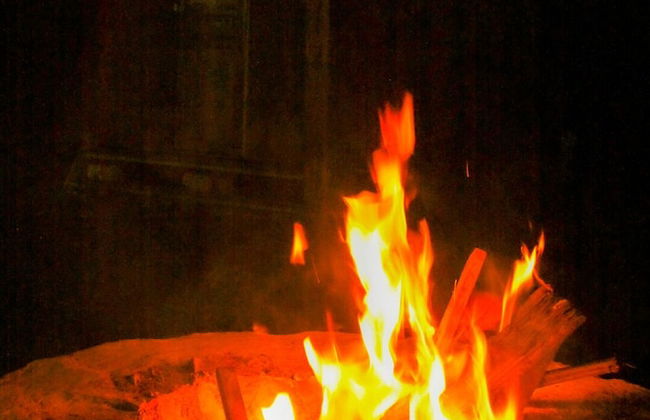 Natural Garden Glamping - Photo 12