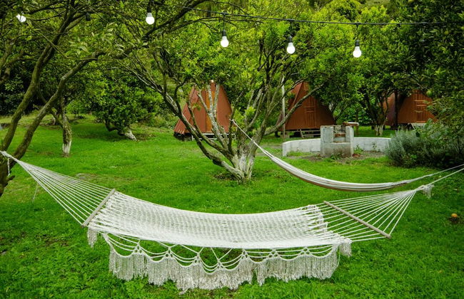 Natural Garden Glamping - Photo 10
